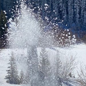 Meet your Posher, Ella